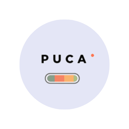 Puca – Optimized Mobile WooCommerce Theme