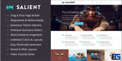 Salient - MultiPurpose Theme