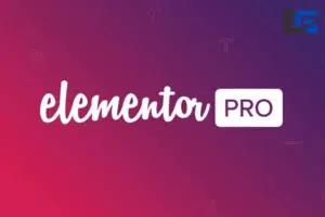 elementor pro