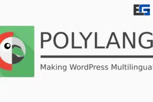 Polylang Pro