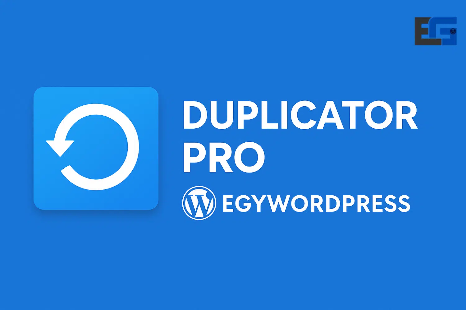 Duplicator pro