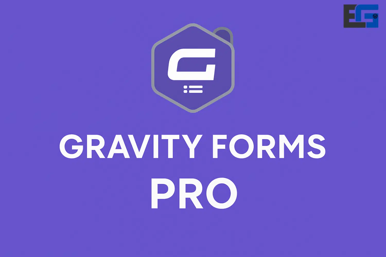 Gravity Forms Pro