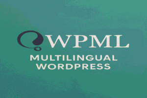 WPML Plugin Multilingual WordPress