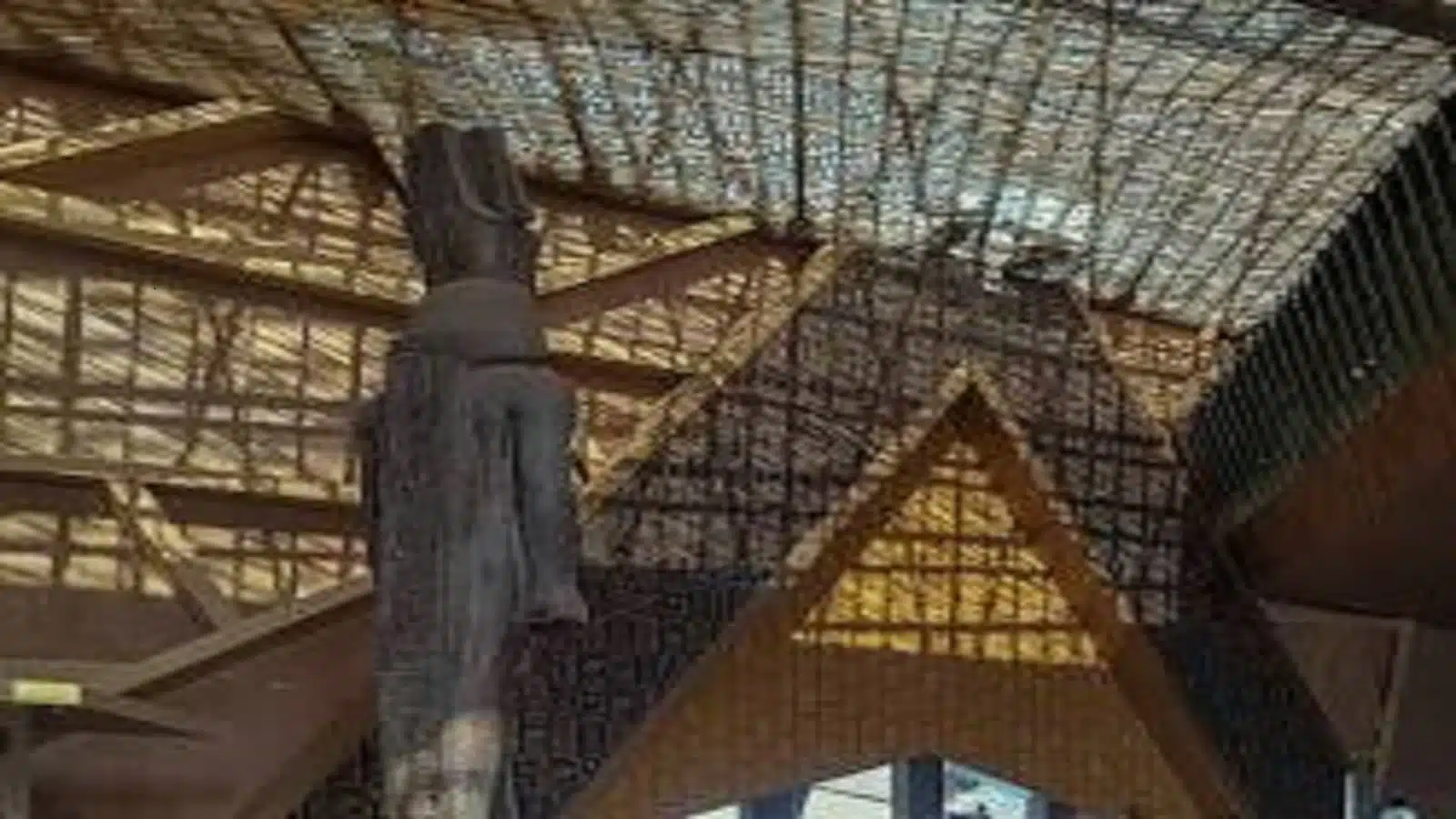 The Importance of Museums in Preserving Human Heritage