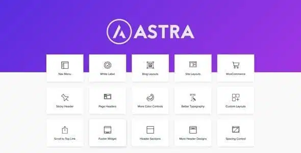 Astra Pro Addon