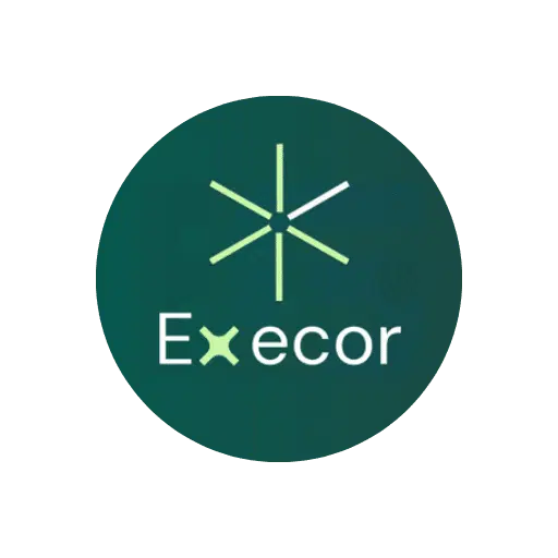 Execor – Accounting and Management Consulting Theme