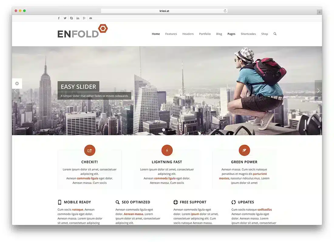 Enfold Theme Image 4