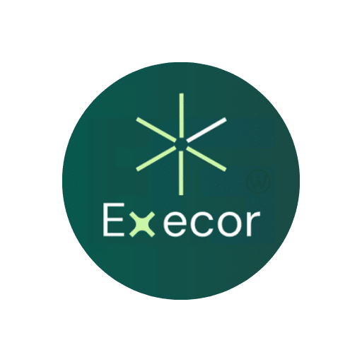 Execor – Accounting and Management Consulting Theme