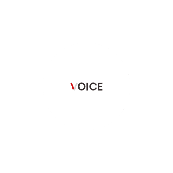 Voice – Clean News/Magazine Theme