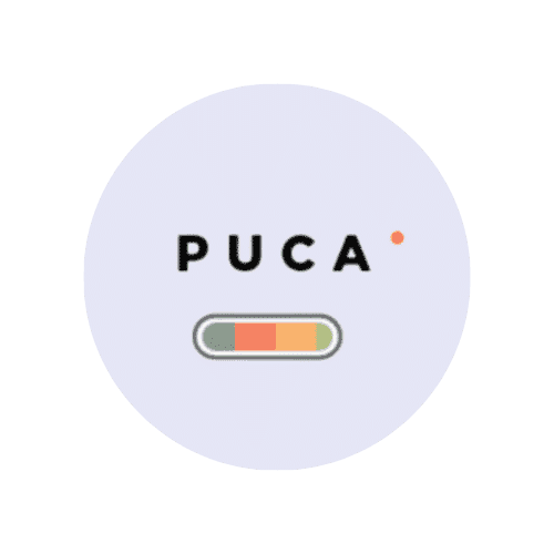 Puca
